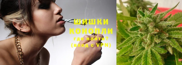 гашик Аркадак