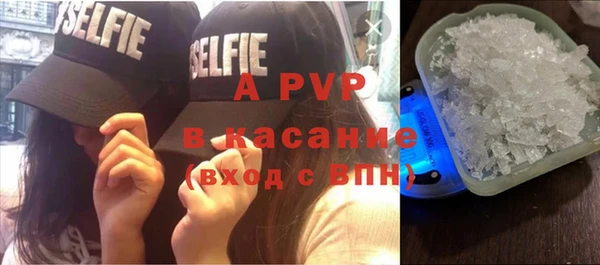 индика Балахна