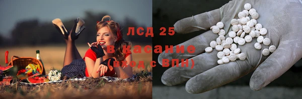 гашик Аркадак